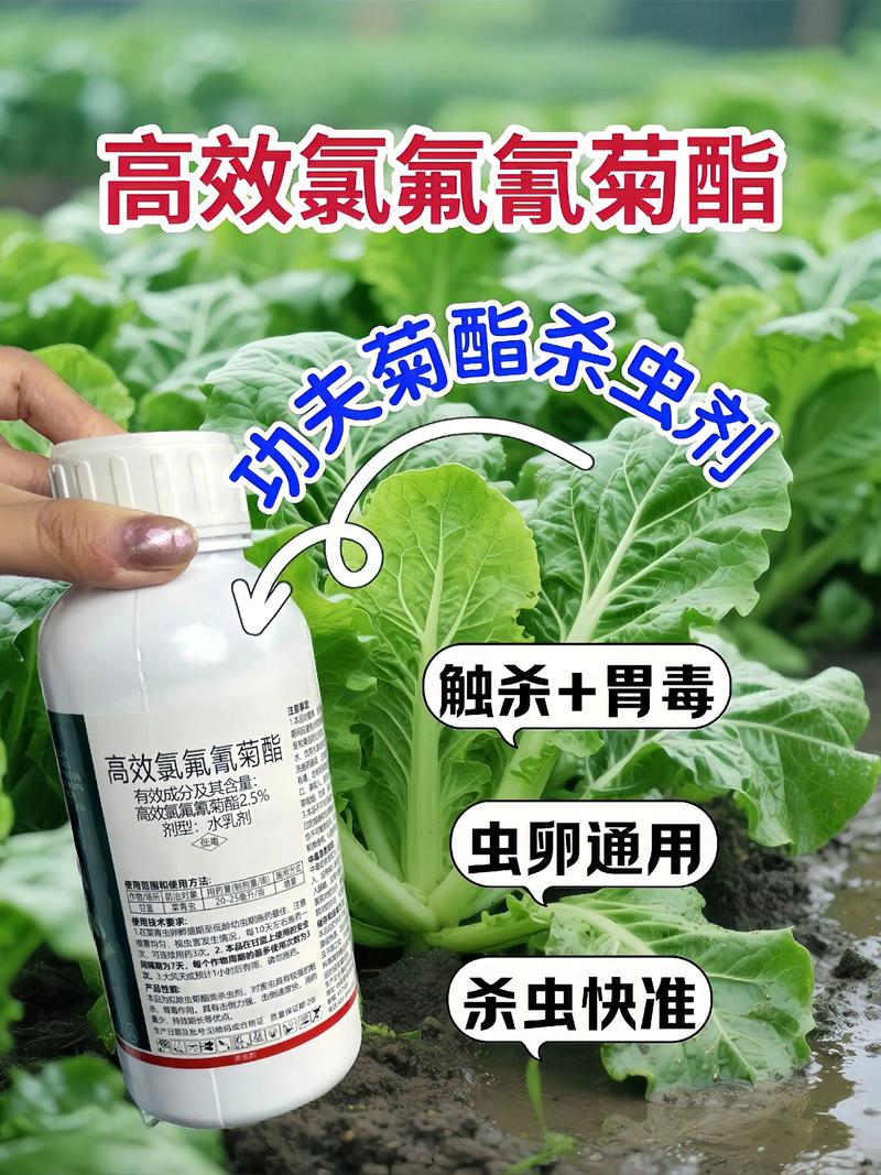 磐石代生中心:农药对供卵代生妈妈的危害